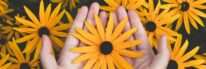 Close-up of hands holding vibrant yellow daisies, showcasing natural beauty and floral pattern.